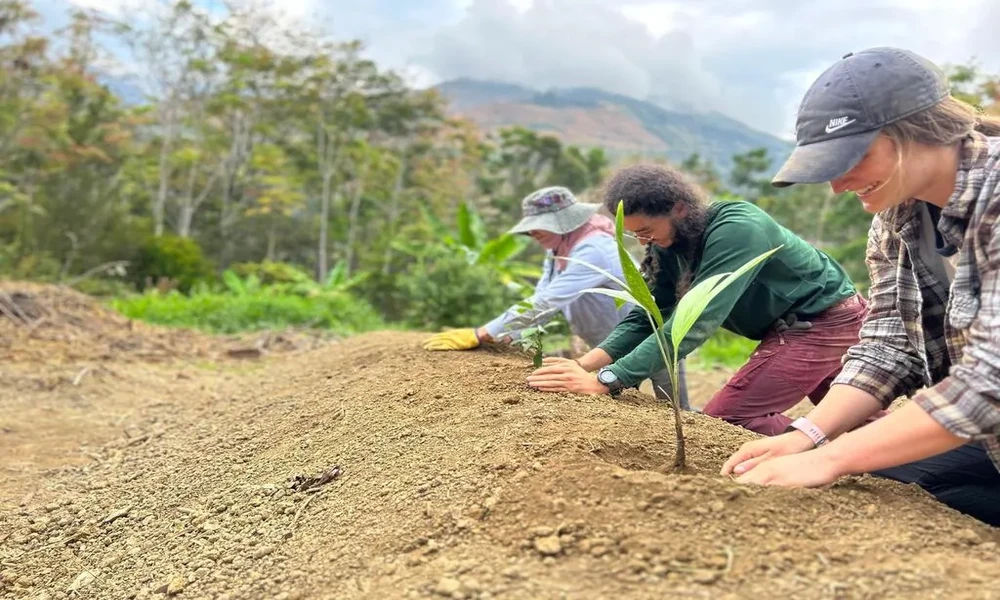 5 Reasons Why Environmental Preservation Benefits Everyone