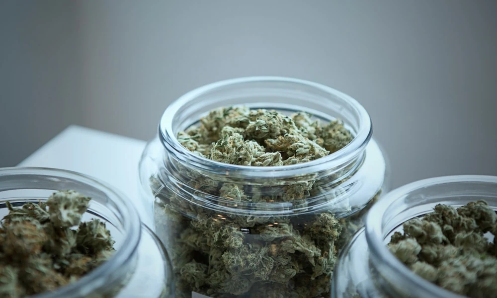 How Top THCA Pre Rolls Can Help You Enter a Flow State